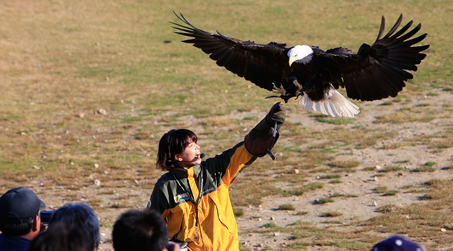 photo by 那須どうぶつ王国