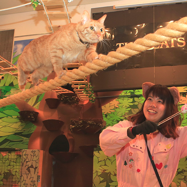 photo by 那須どうぶつ王国