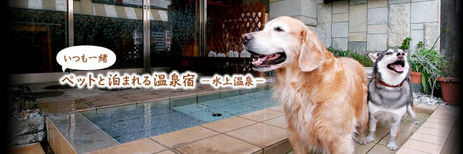 photo by だいこく館 |公式サイト