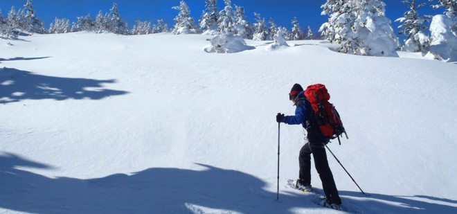 snowshoeing1-afdc6c8a106683821a9d453ea09868ce