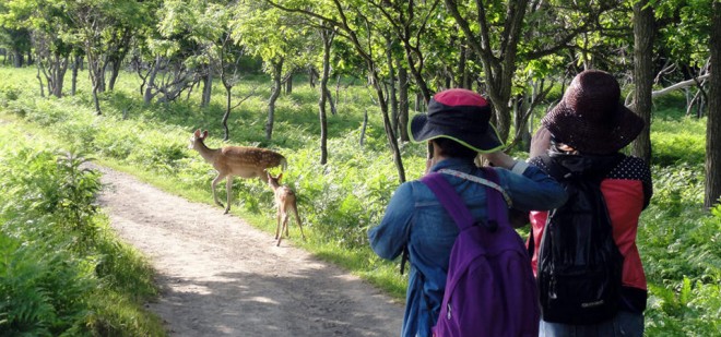 trekking2-b9111057fceab0f32c43f4bd3434231b