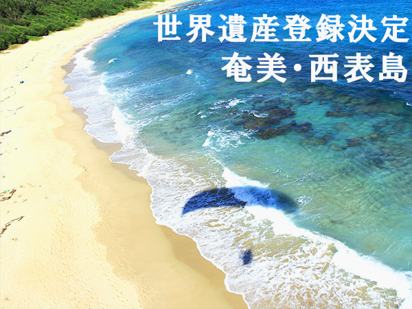 祝!世界遺産登録!