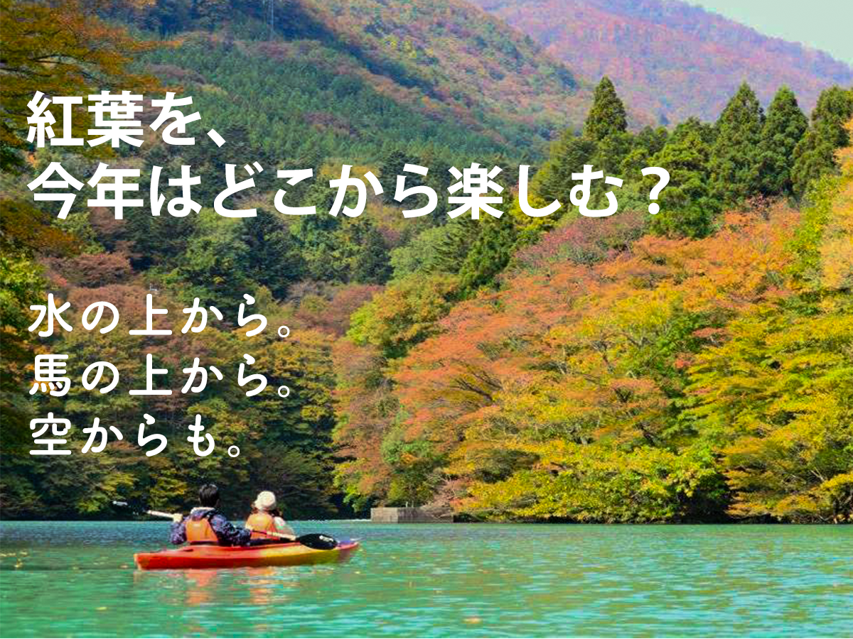 紅葉を楽しもう!